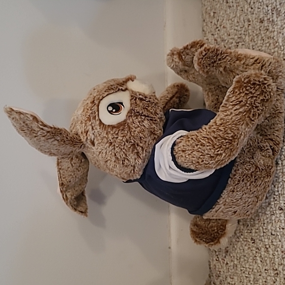 Peter Rabbit stuffed animal - Picture 3 of 5